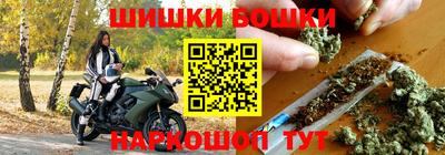 индика Партизанск