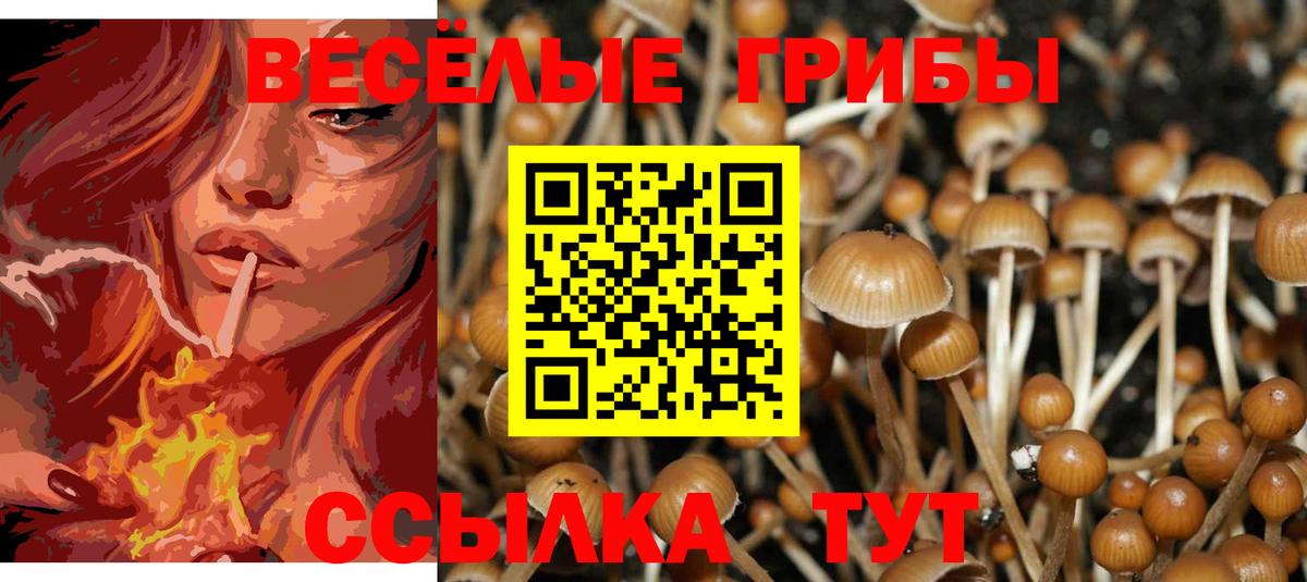 Скопин  магазин продажи   Вход с VPN  Галлюциногенные грибы мухоморы  Псилоцибиновые грибы мухоморы 